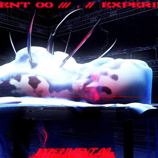 experiment 00 - Artwork [txt edit included]